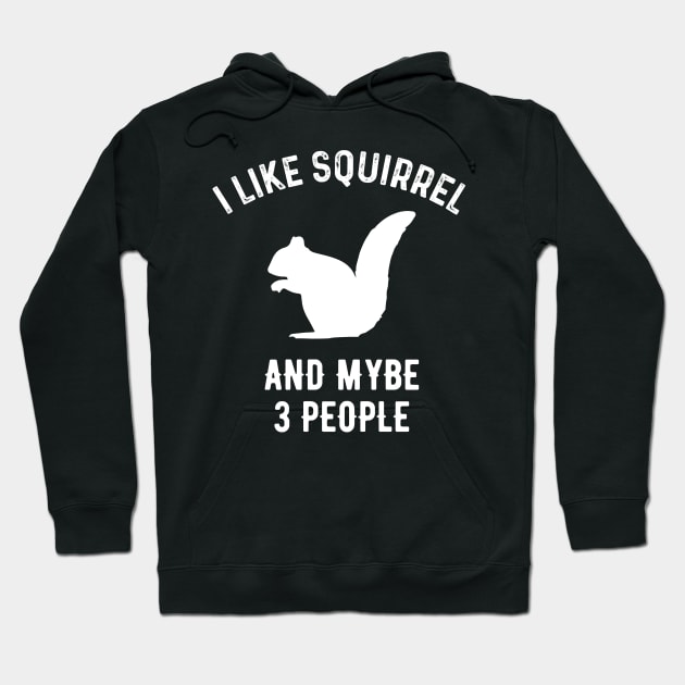 I Like Squirrel And Maybe 3 People Hoodie by walid-farroj